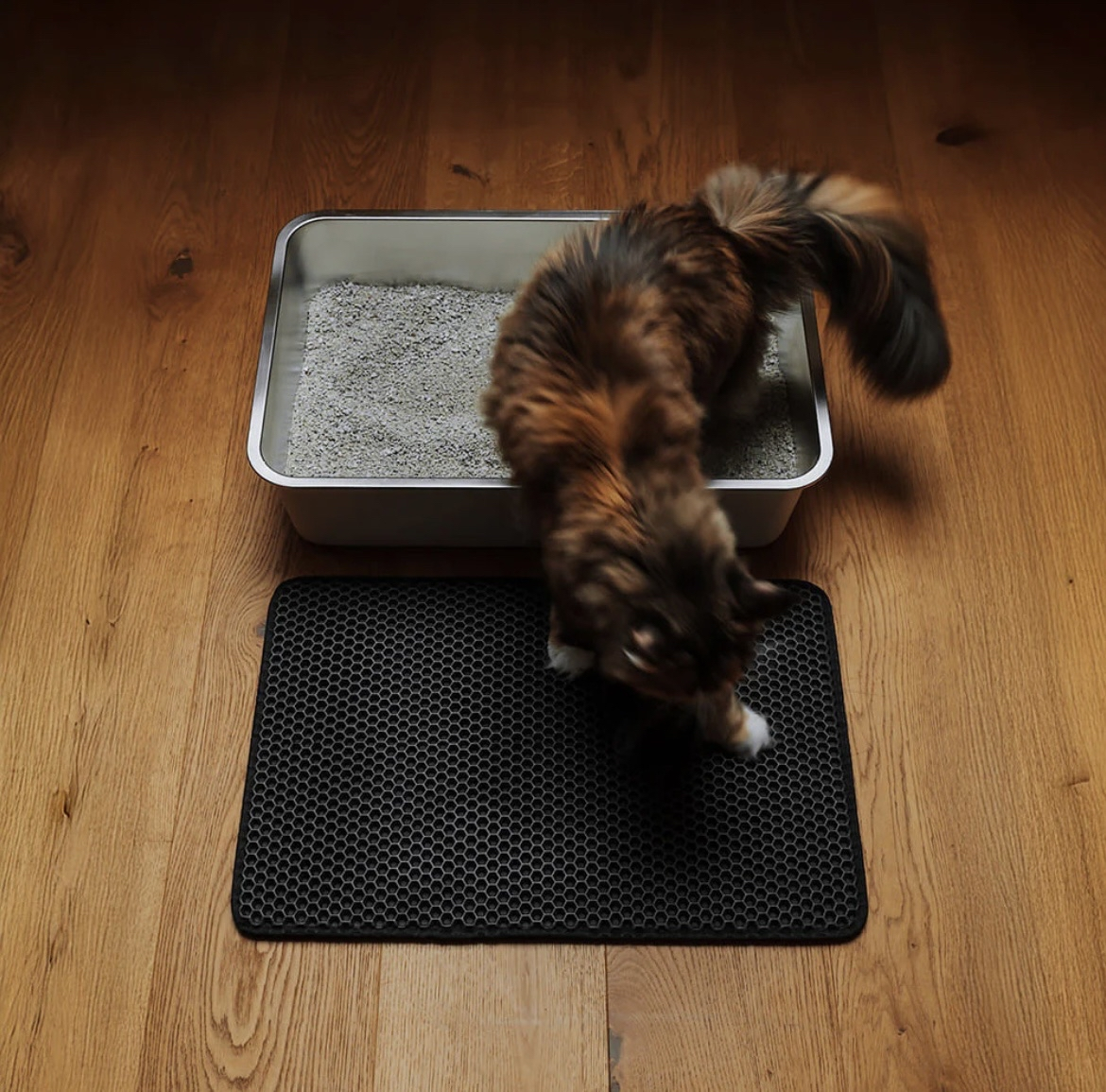 Mancs Zóna prémium alomkilépő