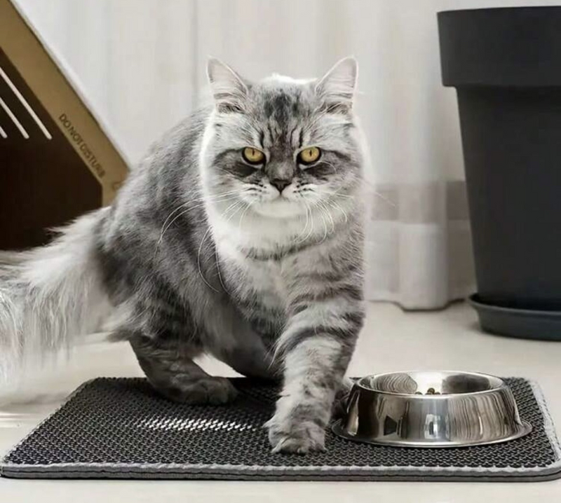 Mancs Zóna prémium tál alátét